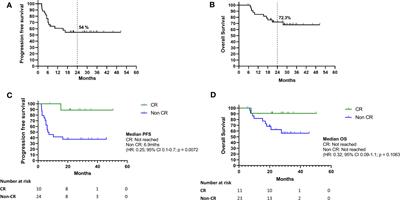 Detectable ctDNA at the time of treatment cessation of ipilimumab and nivolumab for toxicity predicts disease progression in advanced melanoma patients